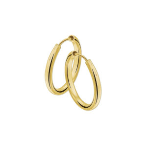 Oorringen 6,0 mm ronde buis 1 micron