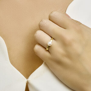 Klapoorringen infinity